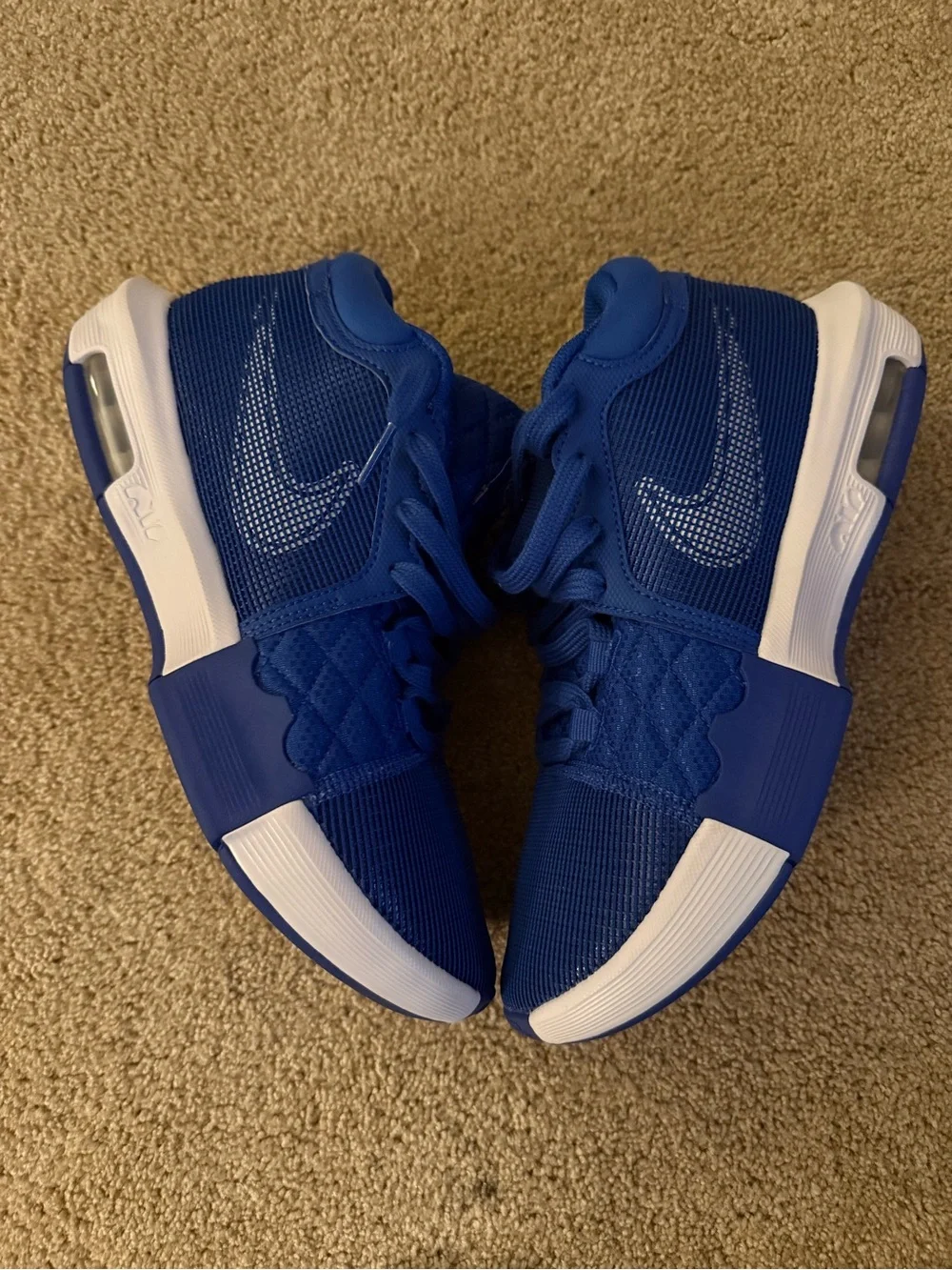 Nike Lebron Witness 8 TB Game Royal Blue White FB9944-401 Men’s Size 8